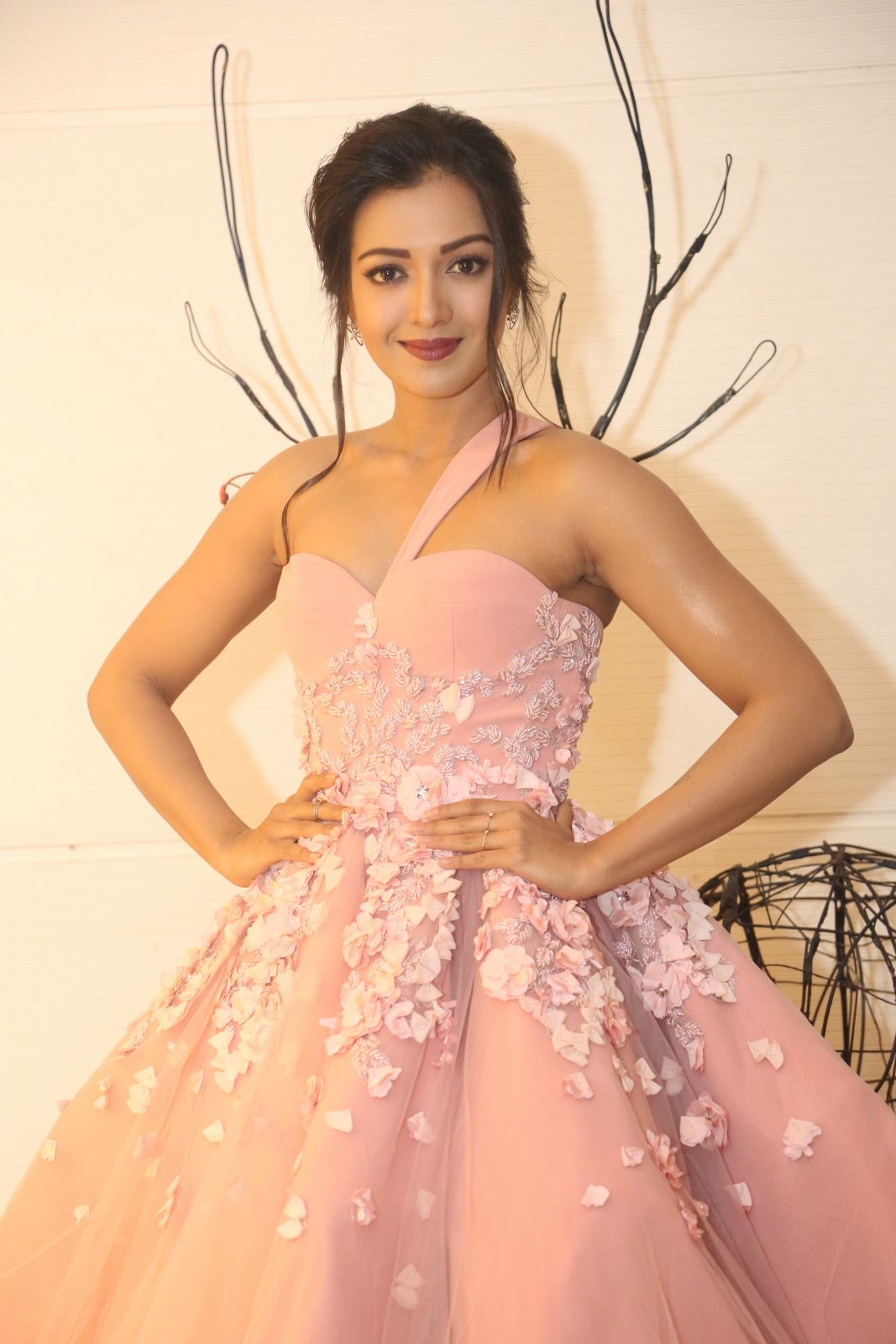 64th Filmfare Awards South
