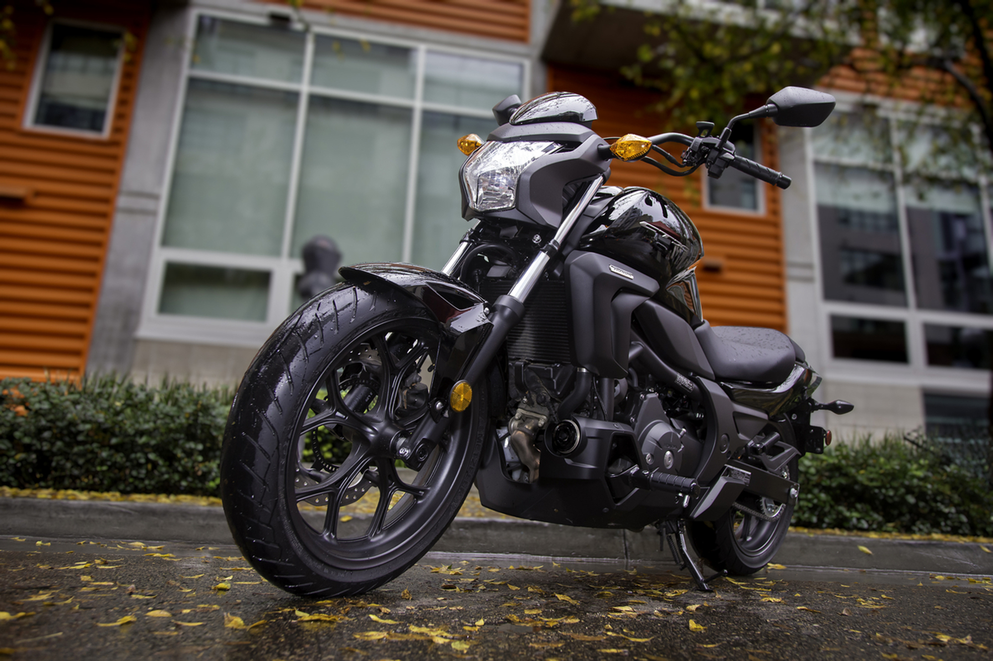 What motorcycle cruiser?