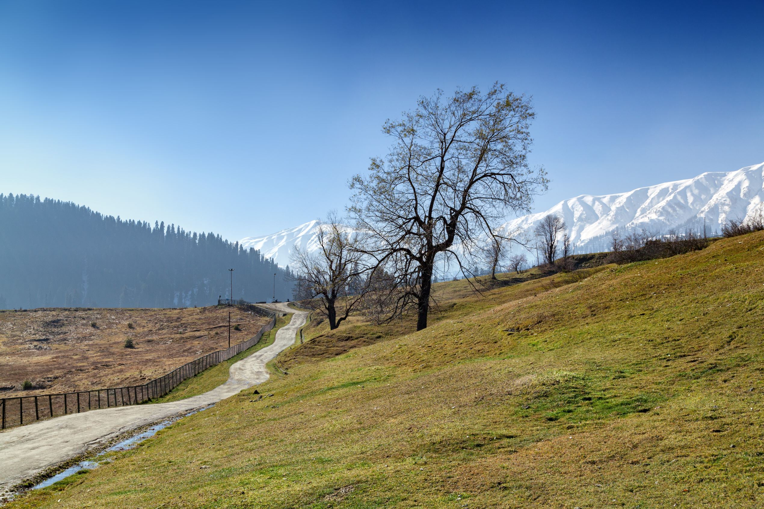 Places Kashmir that good real