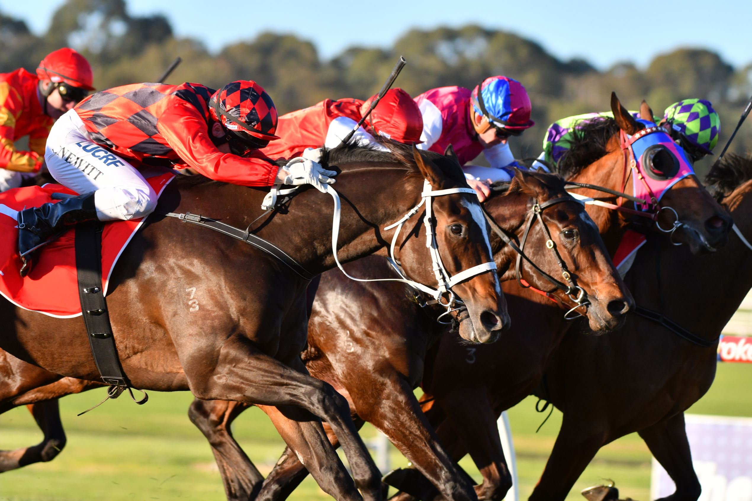 Slide 26 de 36: MELBOURNE, AUSTRALIA - JUNE 07:  Craig Newitt riding Jaminzah winning Race7 during Melbourne Racing at Sandown Lakeside on June 7, 2017 in Melbourne, Australia.  (Photo by Vince Caligiuri/Getty Images)