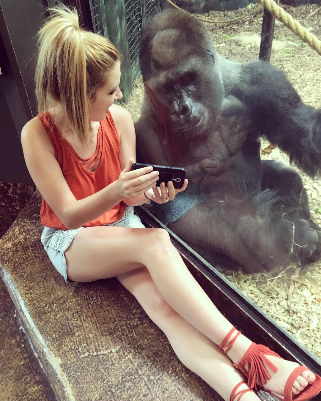 Woman gorilla's touching moment