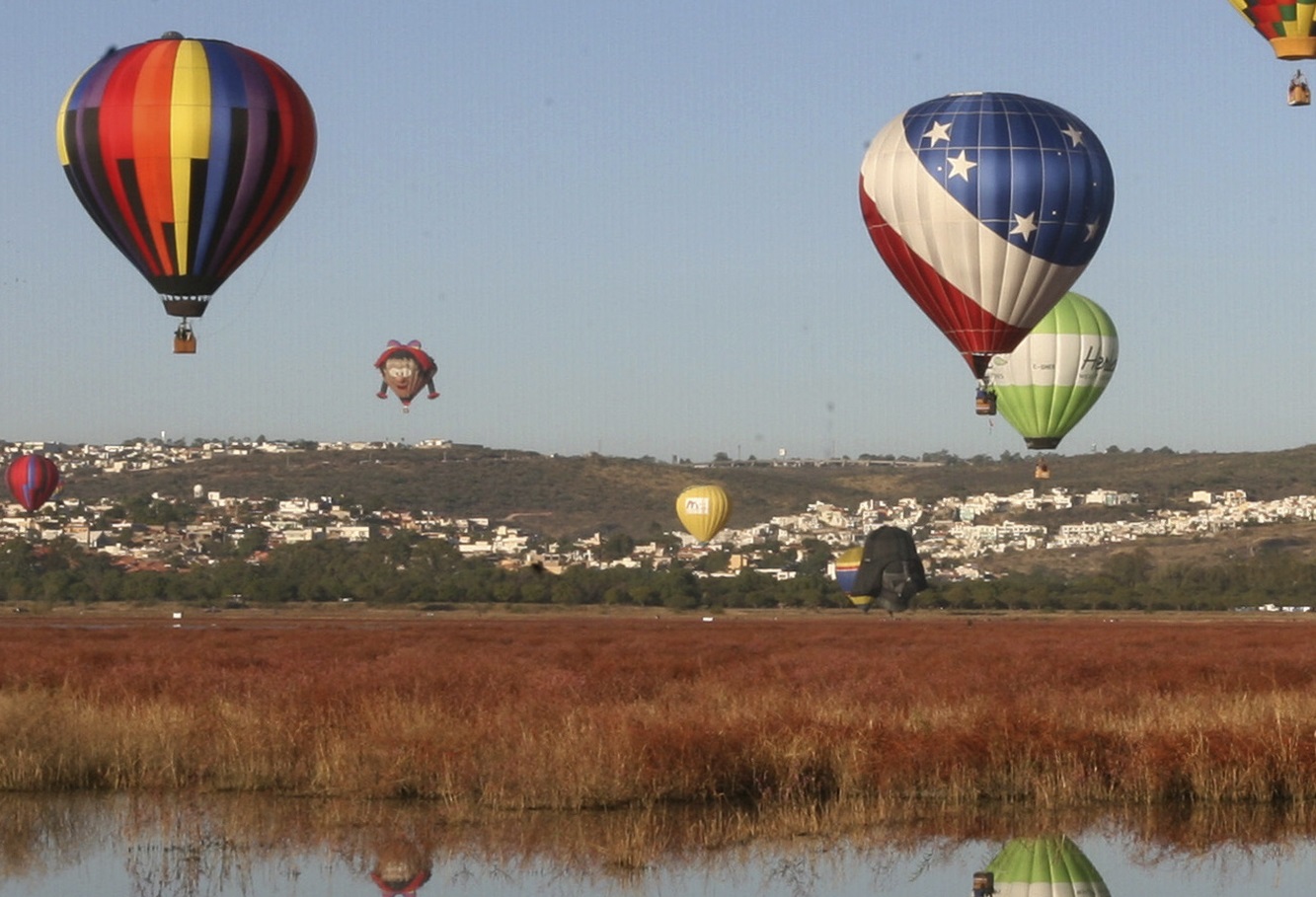 Tourists scream balloon lands alligator-infested