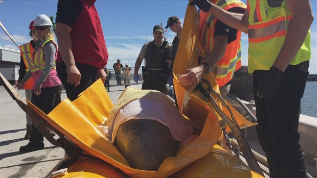 Scientists lose contact with rescued