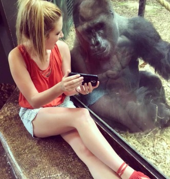 Internet falls loves with smartphone-loving