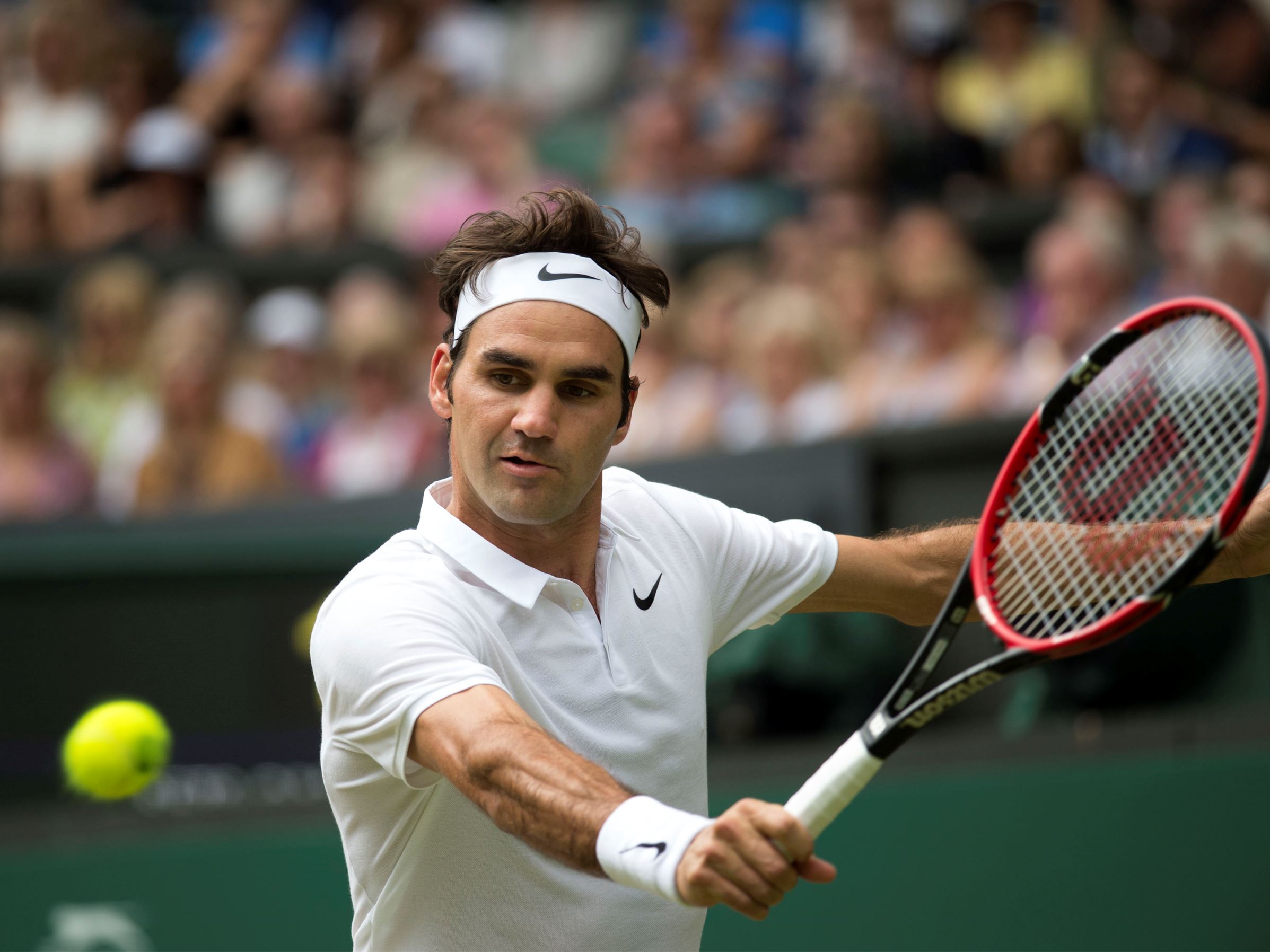 Federer poised record Wimbledon triumph