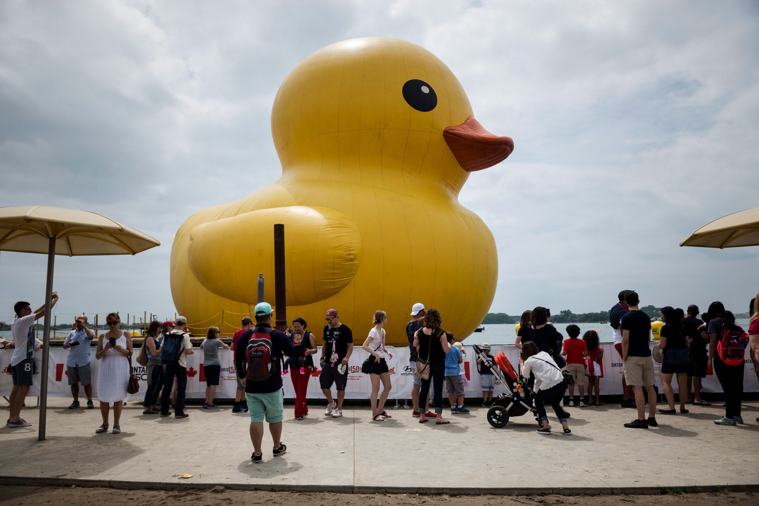 Celebrating with giant inflatable duck