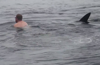 Shark comes close swimmer
