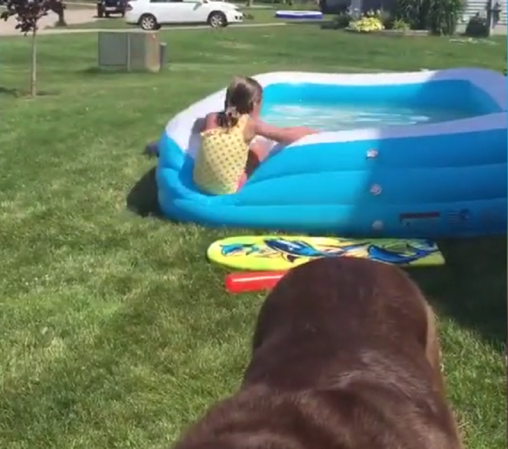 Some hilarious pool fails