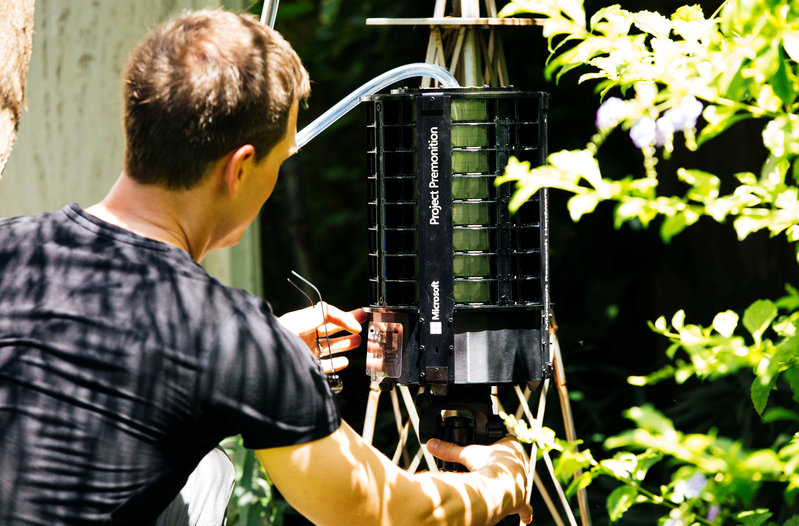 Tech companies wage disease-carrying mosquitoes