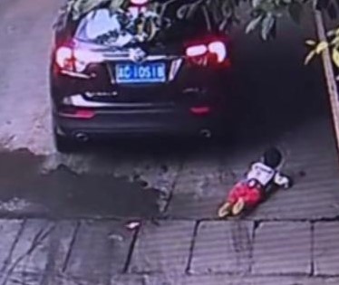 struck car, survives with only