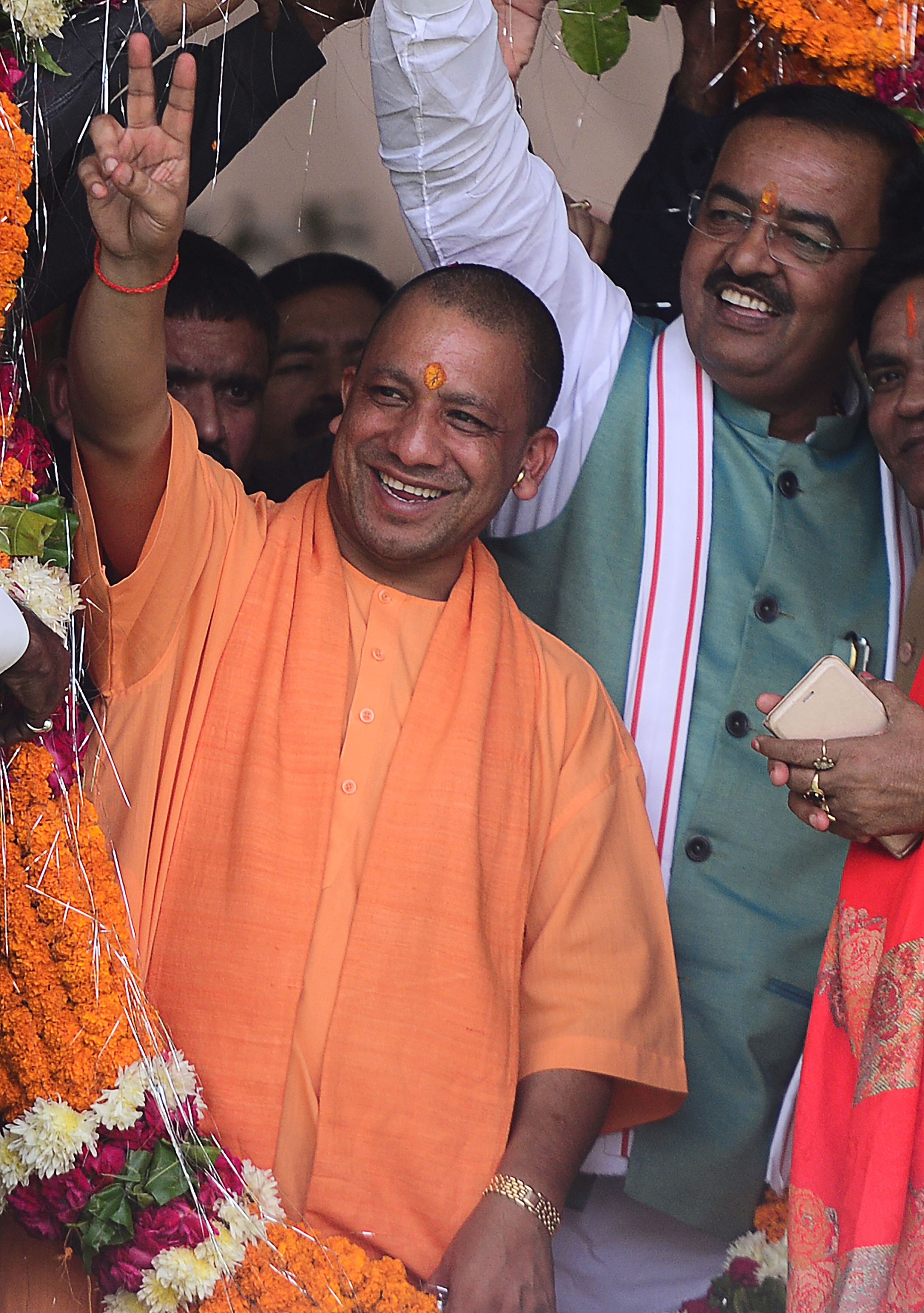 results stamp approval: Yogi
