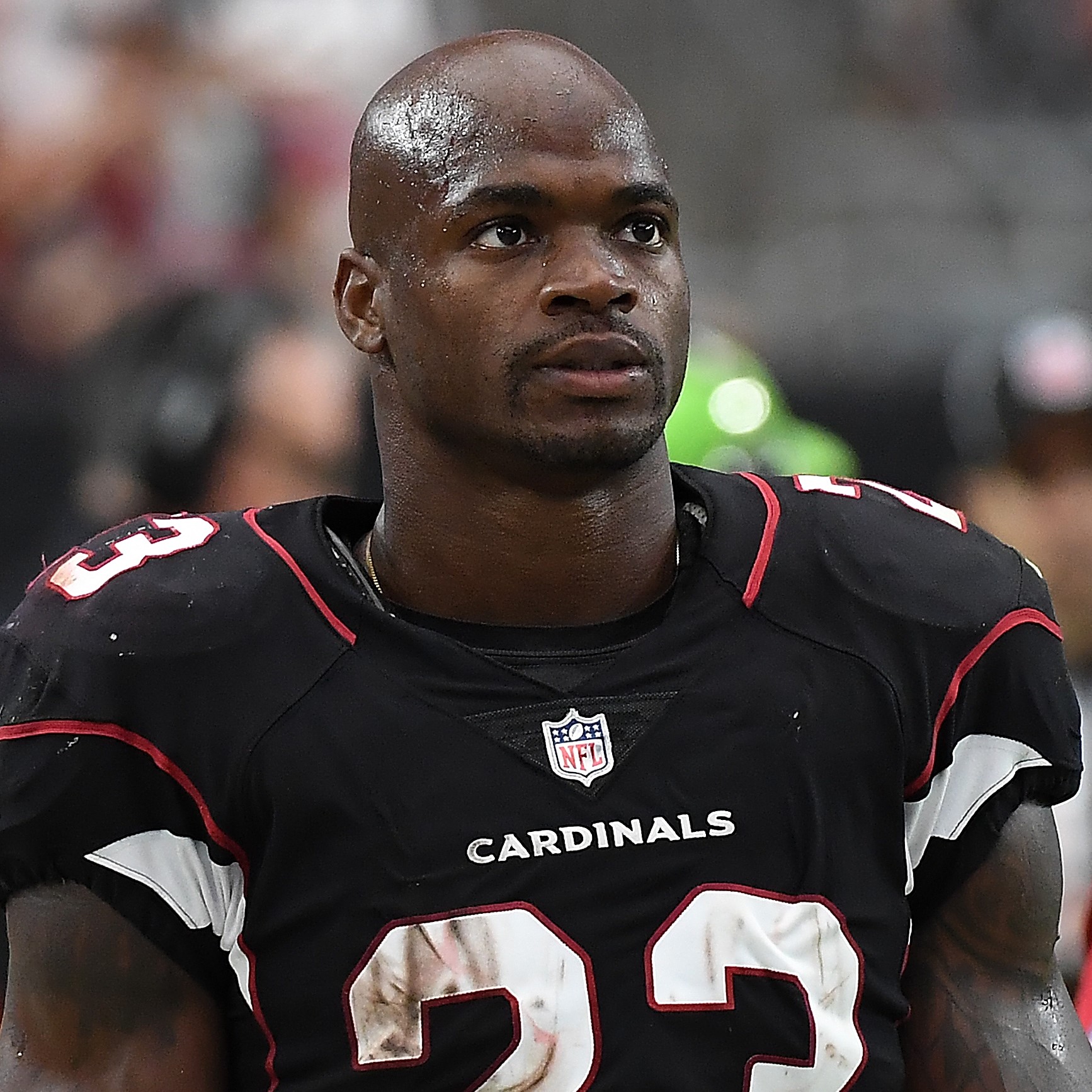 Report: Cardinals place Adrian Peterson
