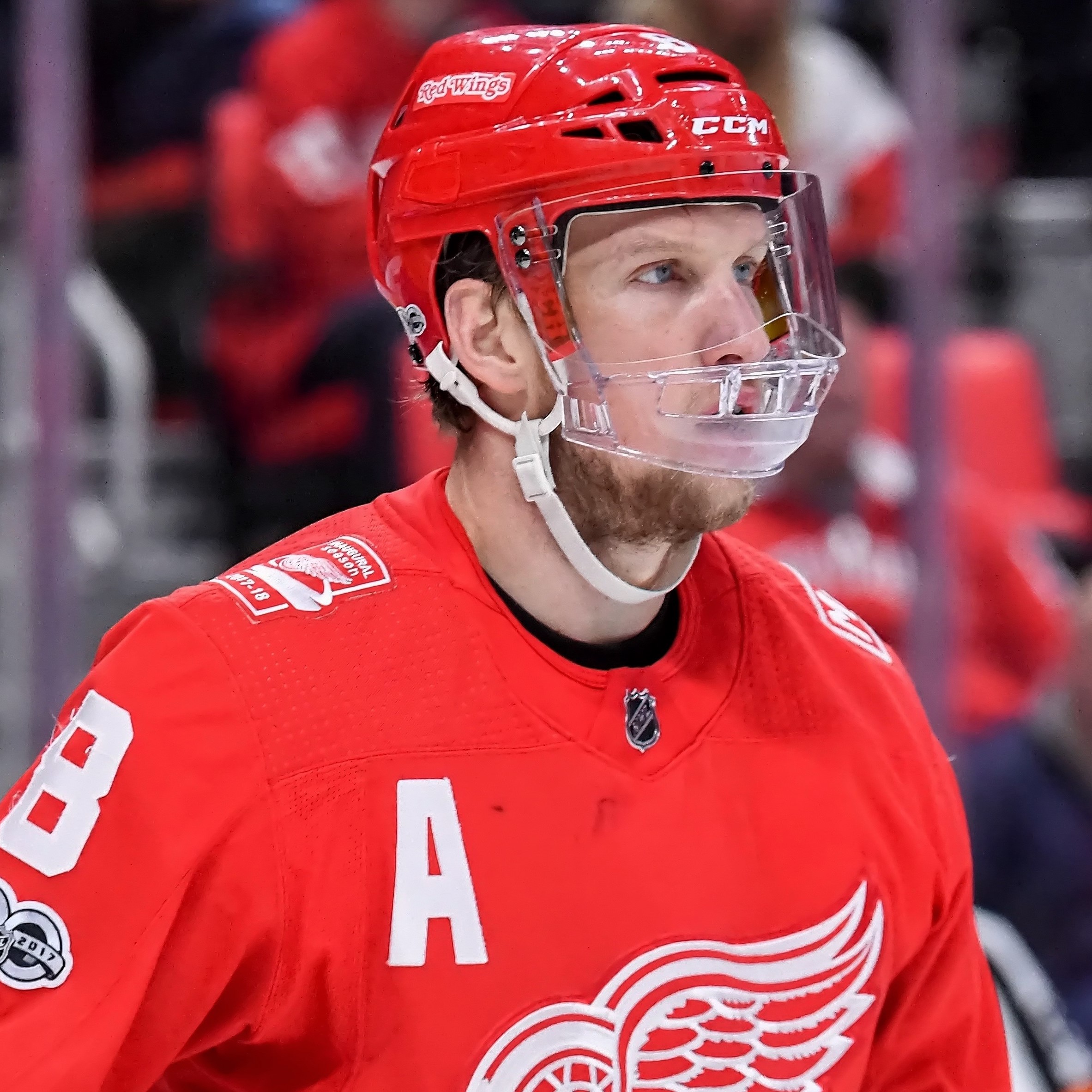 Wings’ Abdelkader fined spearing Islanders’