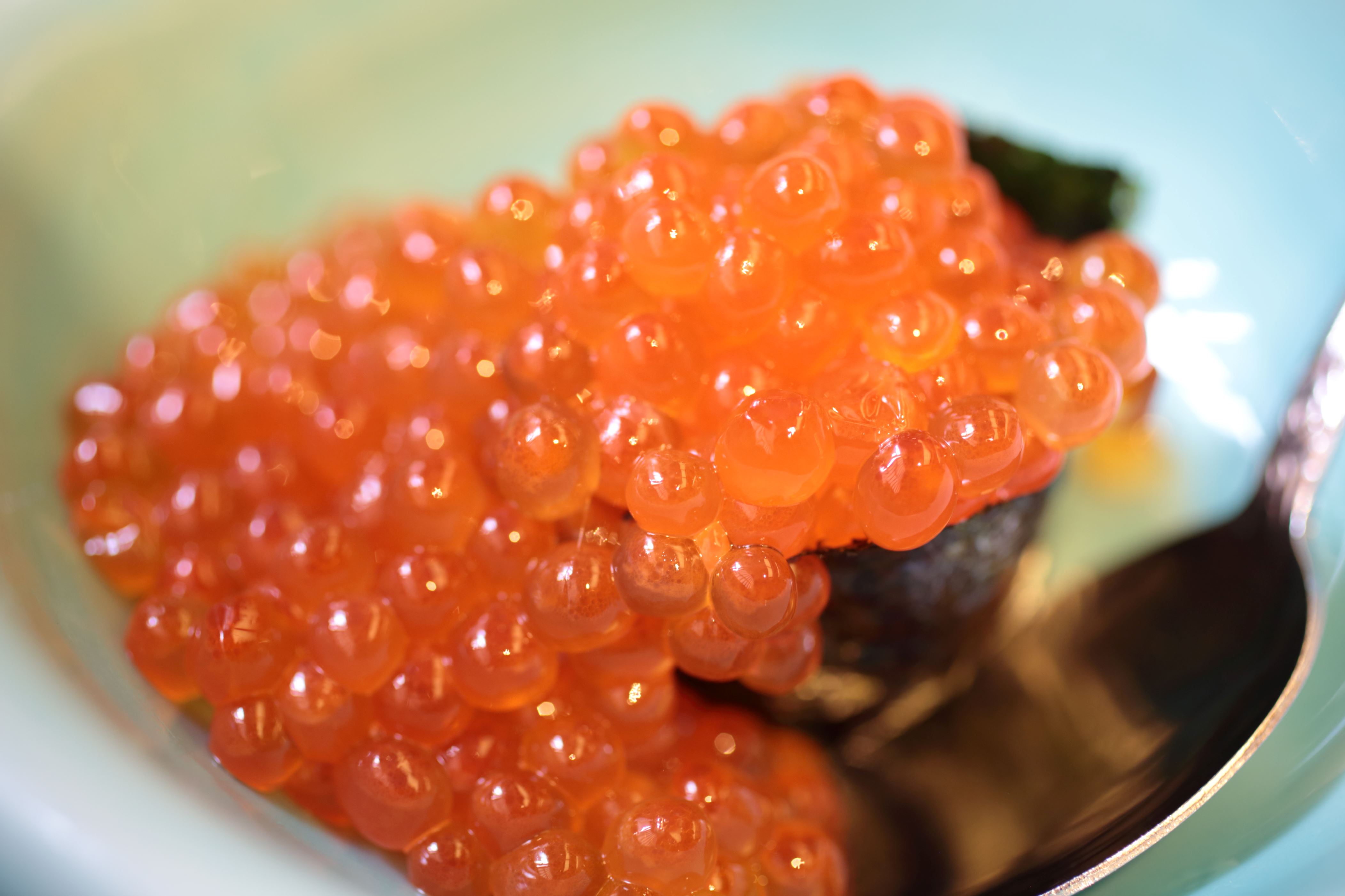 Guess seafood