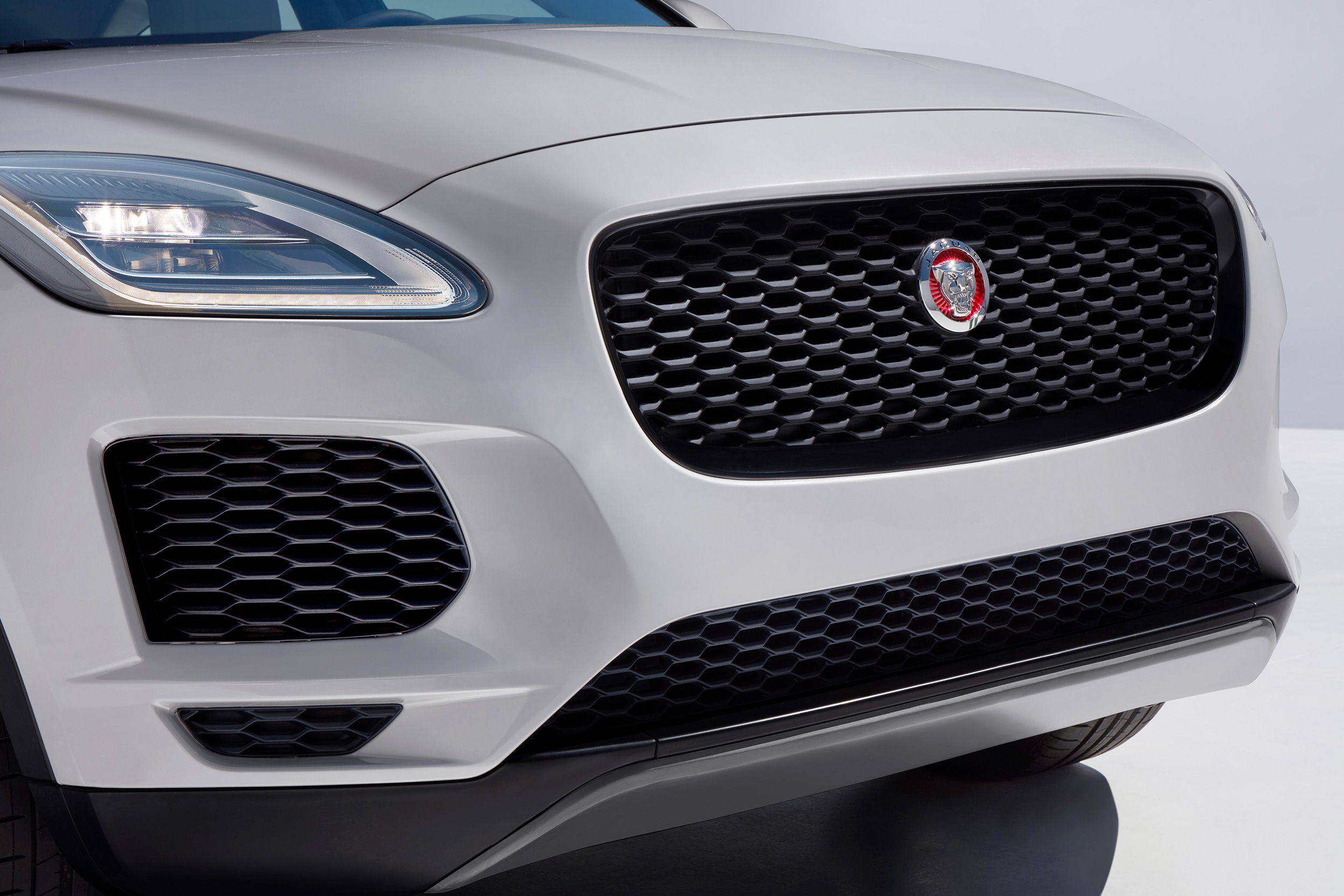 what's from Jaguar