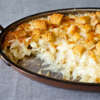 best cheese ever, tater tots