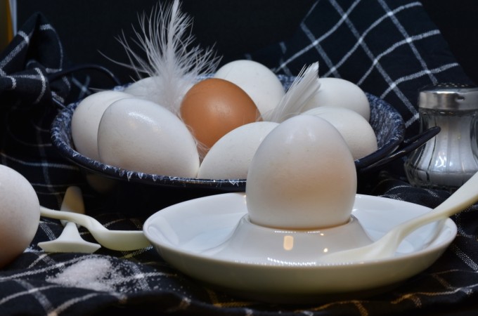 claims have laid eggs