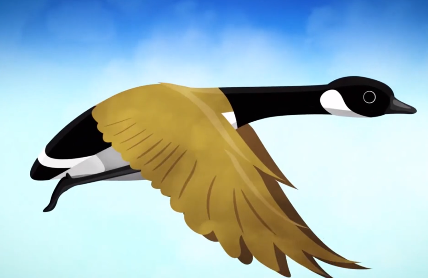 Most extreme newborns in the animal kingdom