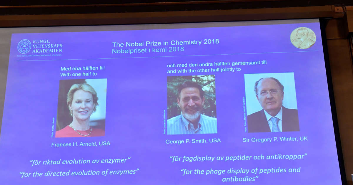Trio wins chemistry Nobel for work on antibody drugs and detergents