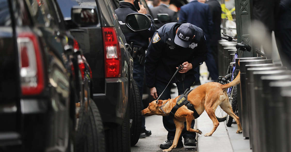 What we know about the explosive devices targeting Democrats