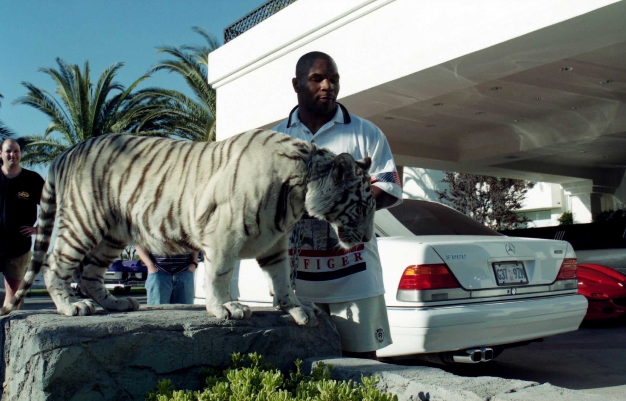 Crazy things sports stars have