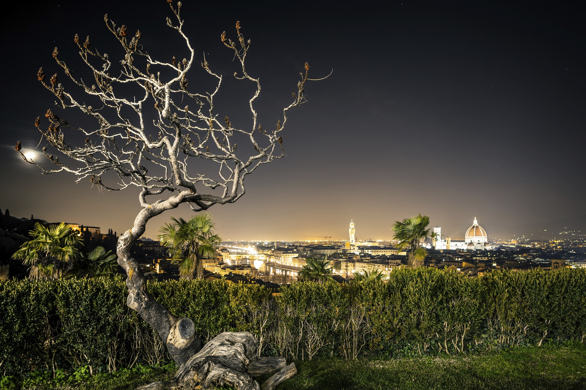 Visitors at the haunted Hotel Burchianti need not be alarmed if they hear a bump in the night as it’s just the ghost of a dead maid going about her cleaning duties. They should also relax if they feel an unknown presence. icy breathe on their faces, see the ghost of a young girl skipping down the hall or the vision of an old lady knitting in a chair.