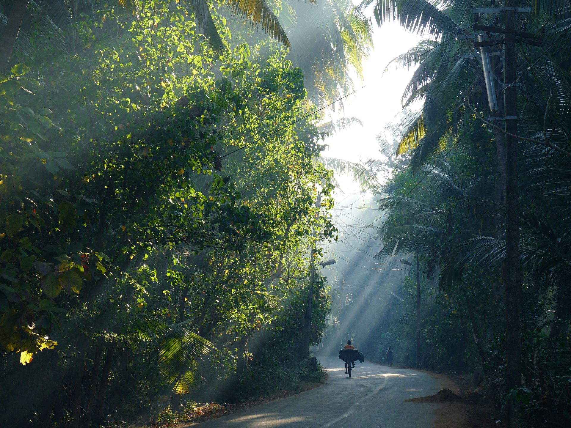 Travel these destinations India budget