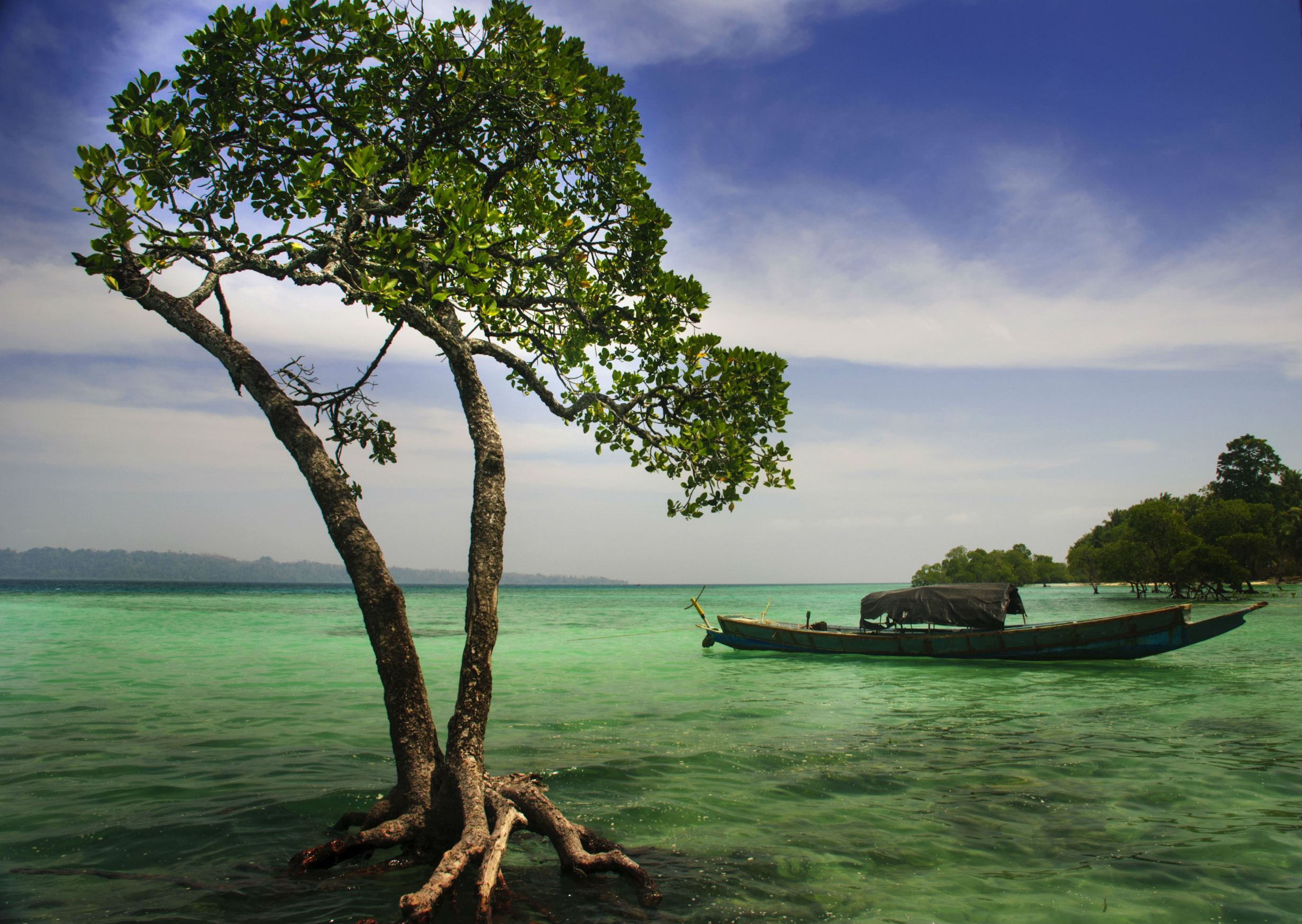 Indian beaches have