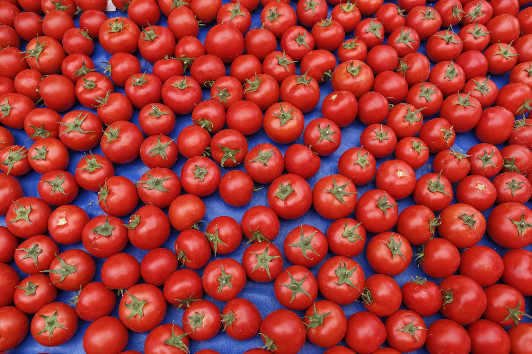 Tomatoes have an anti-aging antioxidant lycopene, which is not only good for skin, but also keeps hair hydrated and shiny.