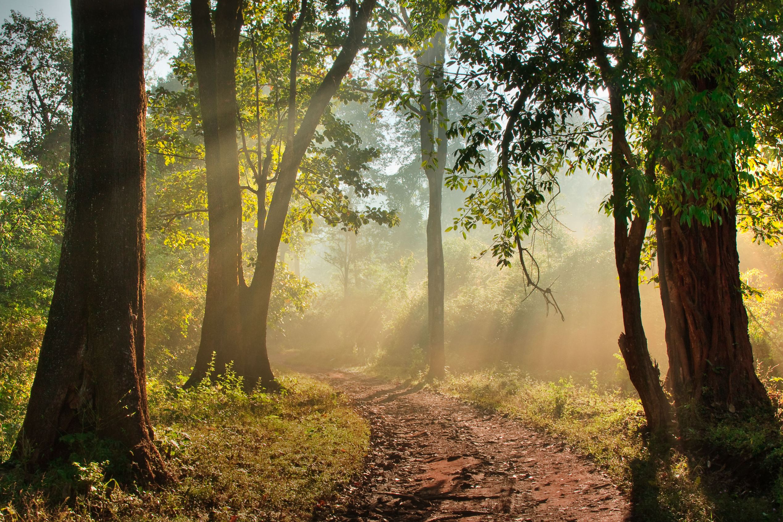 Popular honeymoon destinations that won't