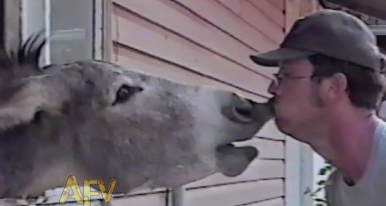 The Best Moments in Love