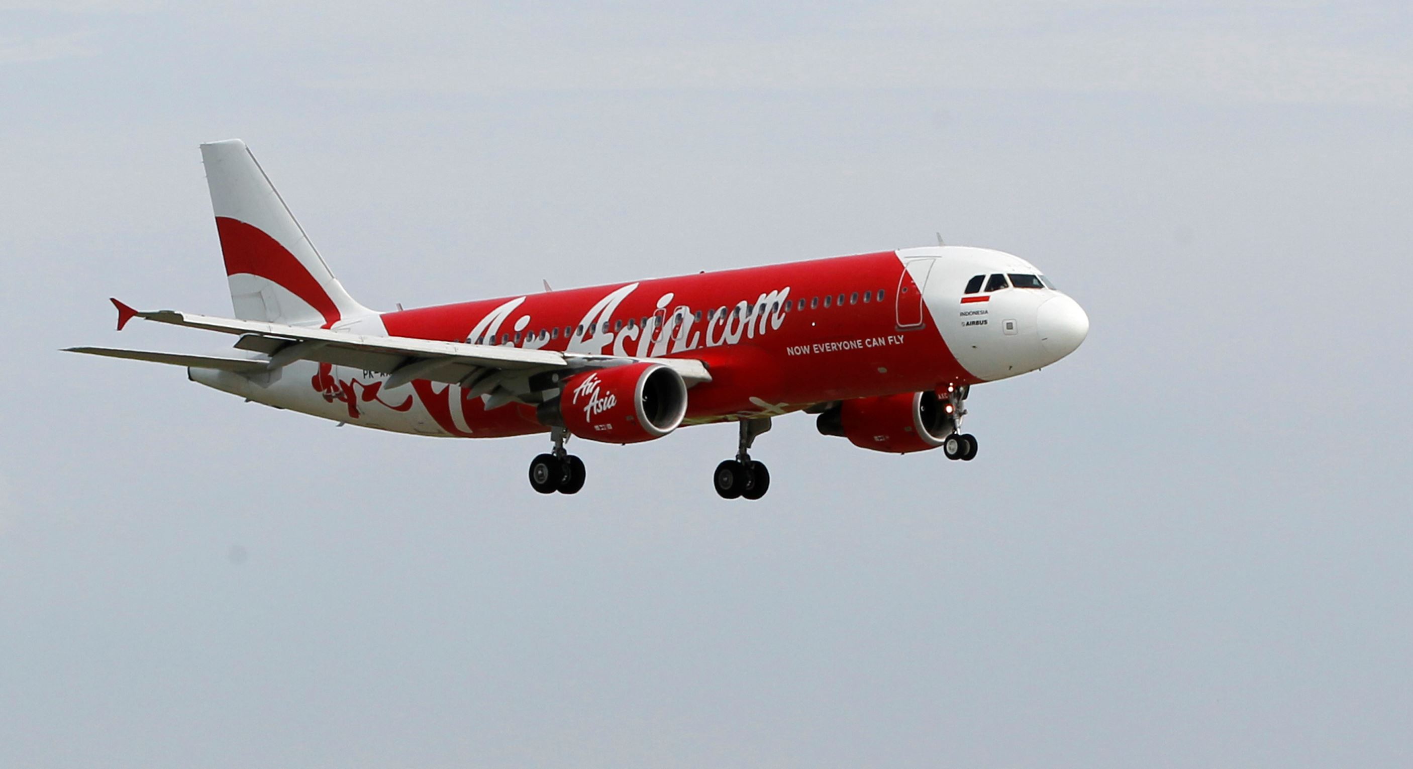 Bird hits Delhi-bound AirAsia flight,
