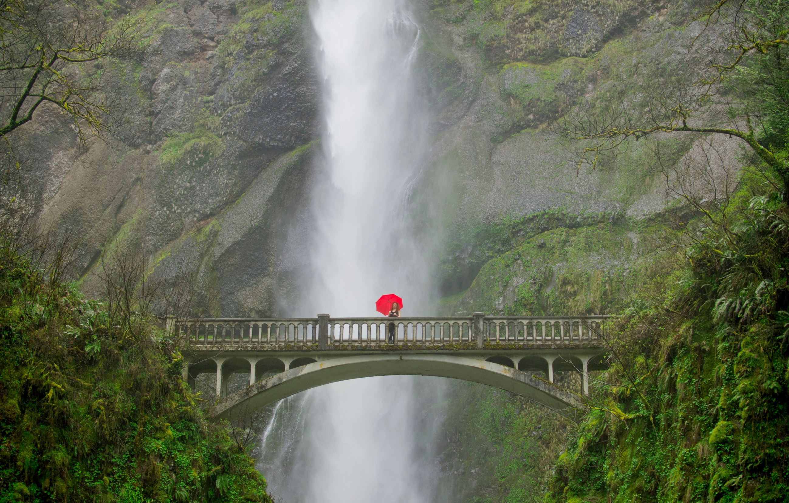 Amazing road trips around world