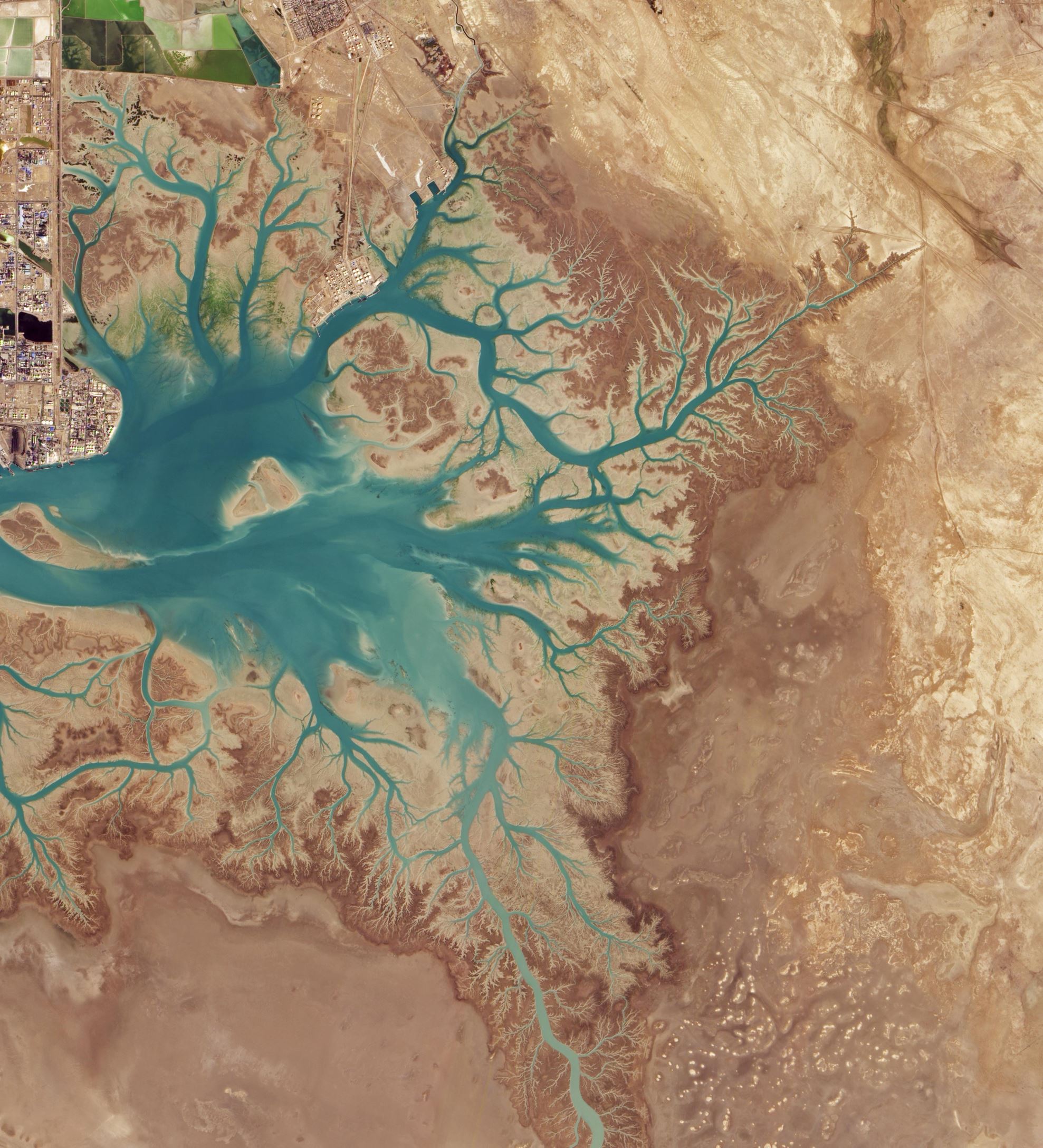 Before draining into the Persian Gulf, several rivers and streams in southern Iran converge into Musa Bay, a shallow estuary with a long history as a port. As far back as 326 B.C.E., the Greek navigator Nearchos noted that the area was already a shipping center. Today, it supports Bandar Imam Khomeini, Iran’s busiest port city.

When the Advanced Land Imager on NASA’s EO-1 satellite passed over, it captured this striking view of Musa Bay. Notice the dendritic pattern of the waterways. This branching shape, one of the most common patterns formed by watersheds, develops when streams move across relatively flat and uniform rock or over rock that resists erosion. Steeper terrain or terrain with faults or other structural weaknesses form other types of drainage patterns.