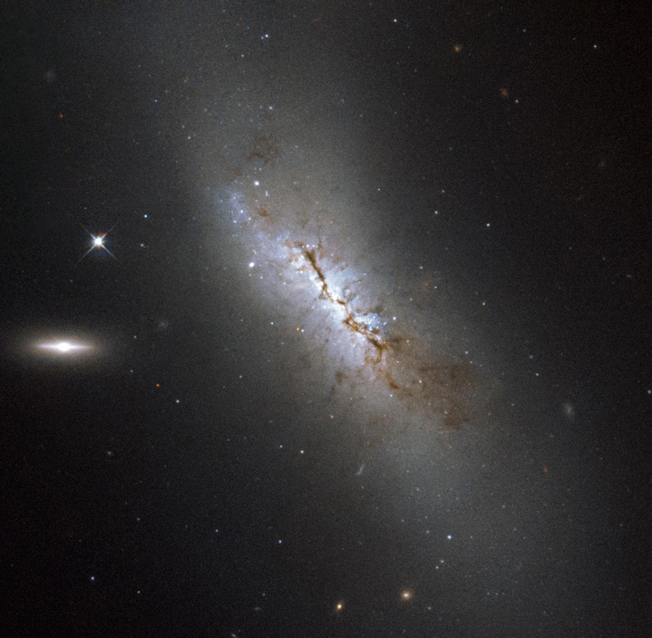 The galaxy pictured here is NGC 4424, located in the constellation of Virgo. It is not visible with the naked eye but has been captured here with the NASA/ESA Hubble Space Telescope. Although it may not be obvious from this image, NGC 4424 is a spiral galaxy. In this image it is seen more or less edge on, but from above, you would be able to see the arms of the galaxy wrapping around its center to give the characteristic spiral form.

In 2012, astronomers observed a supernova in NGC 4424 — a violent explosion marking the end of a star’s life. During a supernova explosion, a single star can often outshine an entire galaxy. However, the supernova in NGC 4424, dubbed SN 2012cg, cannot be seen here as the image was taken ten years prior to the explosion. Along the central region of the galaxy, clouds of dust block the light from distant stars and create dark patches. To the left of NGC 4424 there are two bright objects in the frame. The brightest is another, smaller galaxy known as LEDA 213994 and the object closer to NGC 4424 is an anonymous star in our Milky Way.