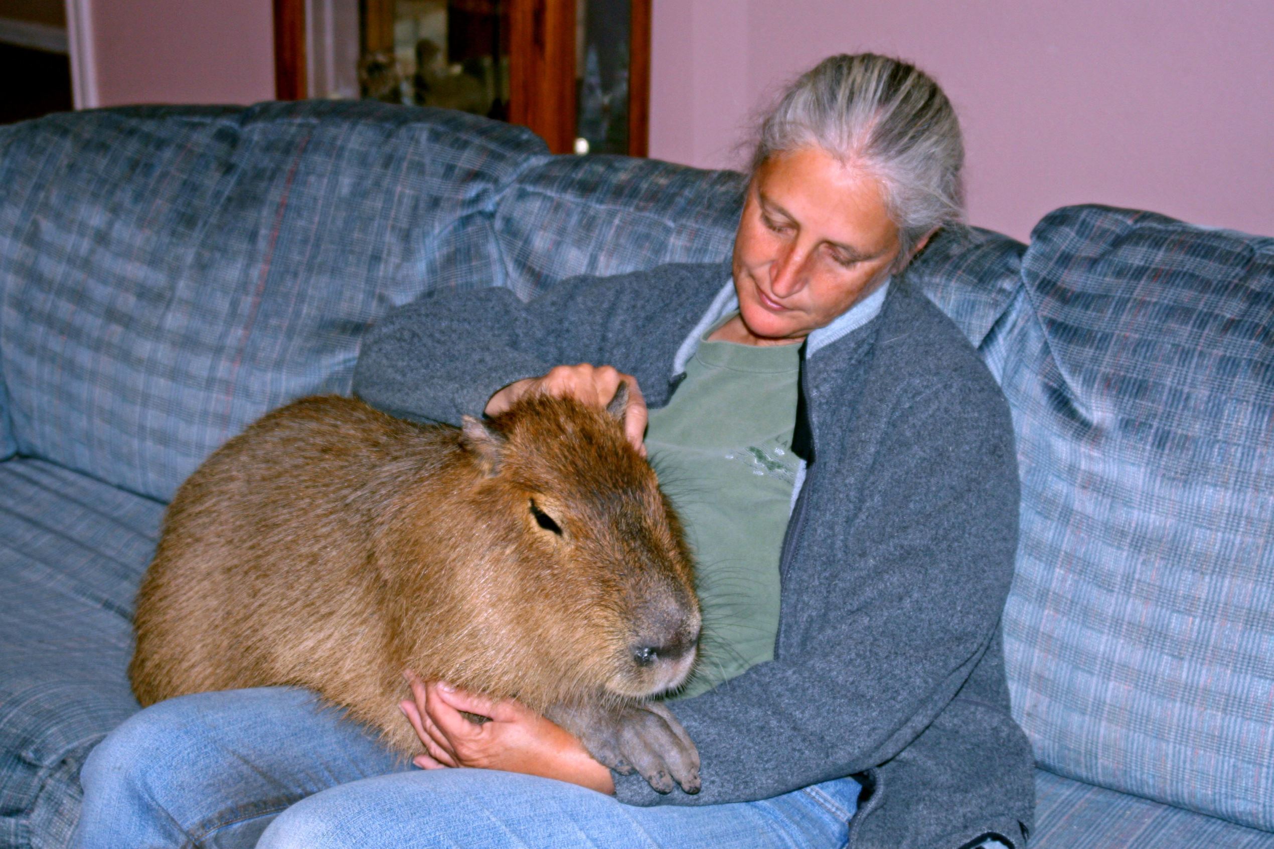 World's most unusual pets