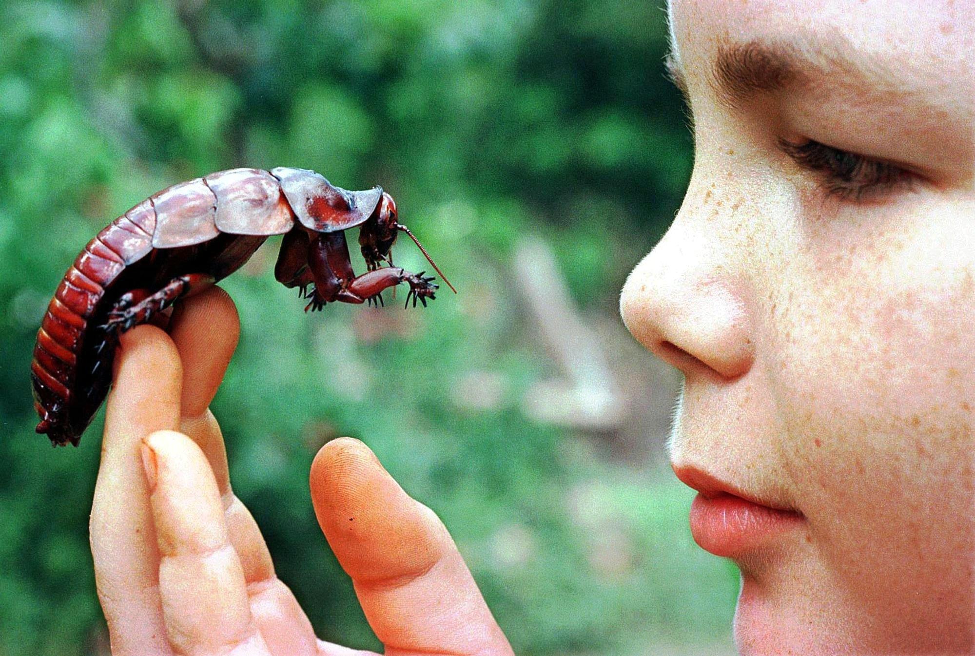 unusual pets