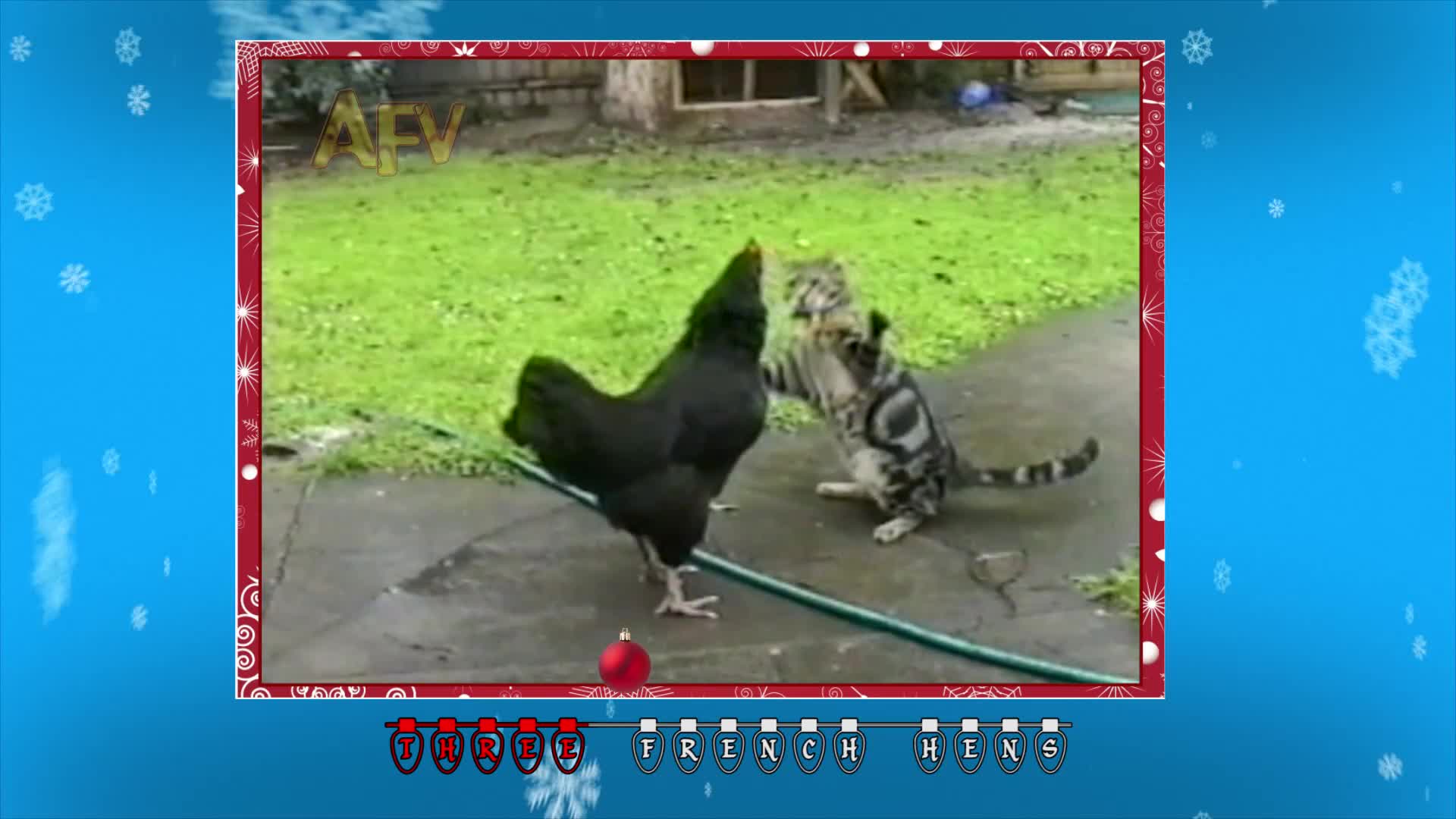 12 days of Christmas