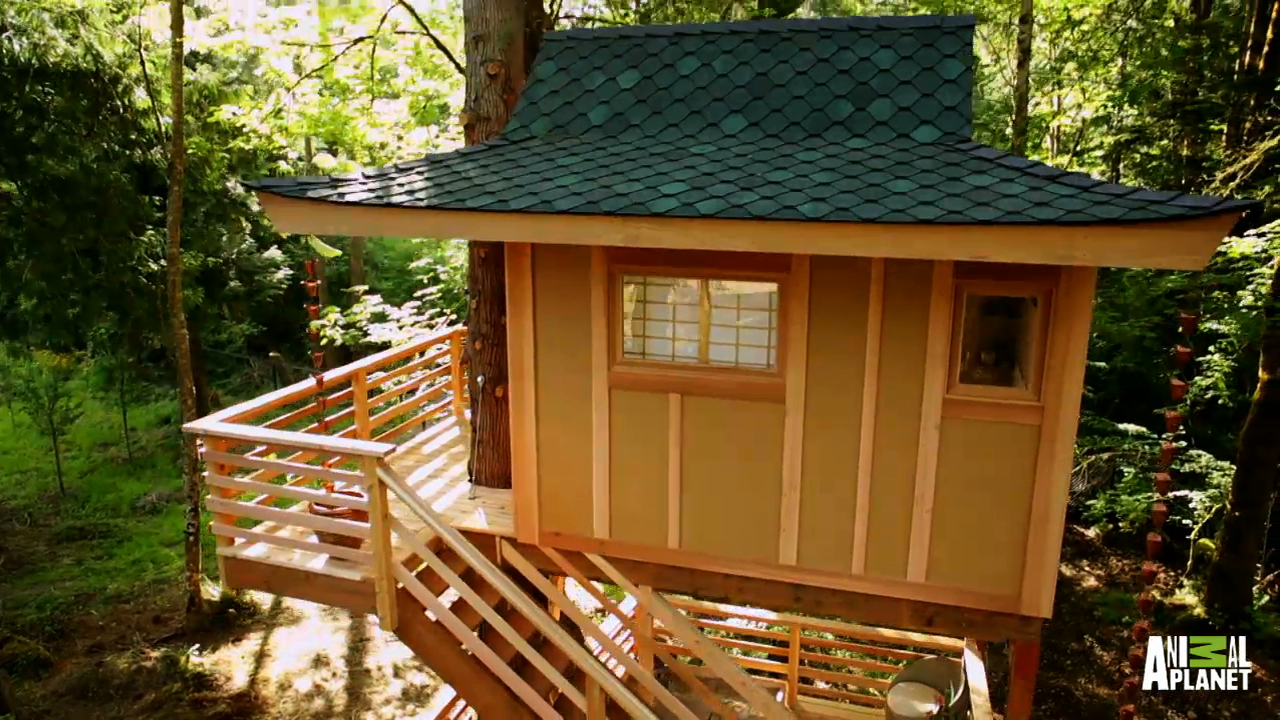 Time lapse: Towering treetop teahouse
