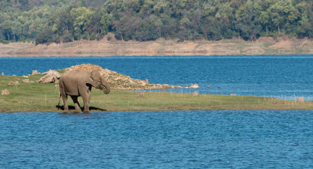  Jim Corbett National Park