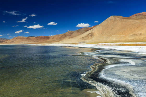 Tso Kar lake, Rapshu, Ladakh, Jammu and Kashmir, India