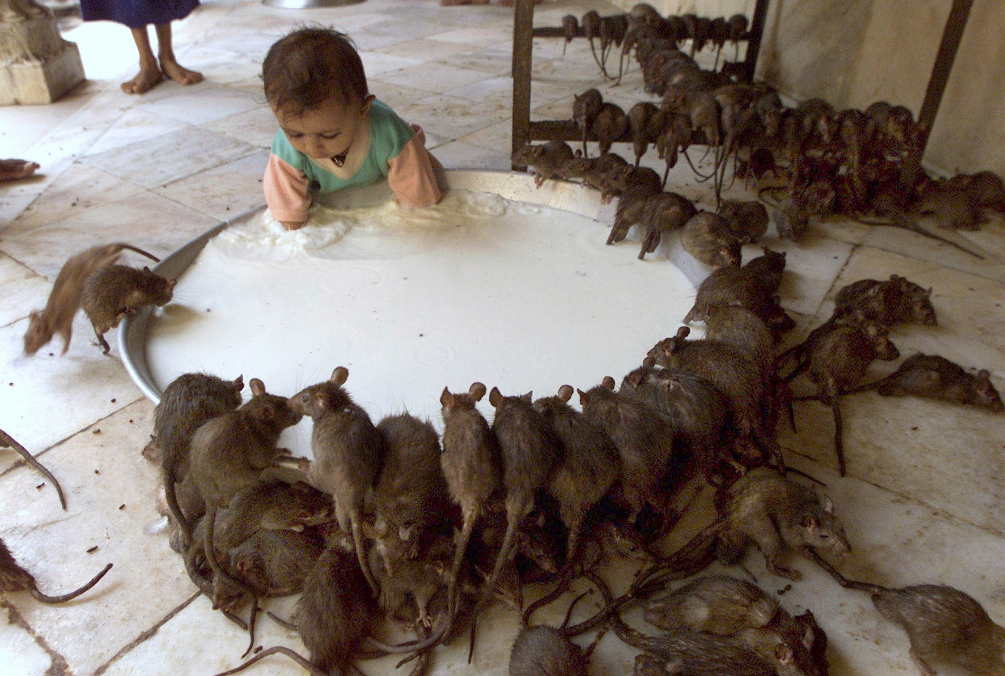world’s strangest tourist attractions