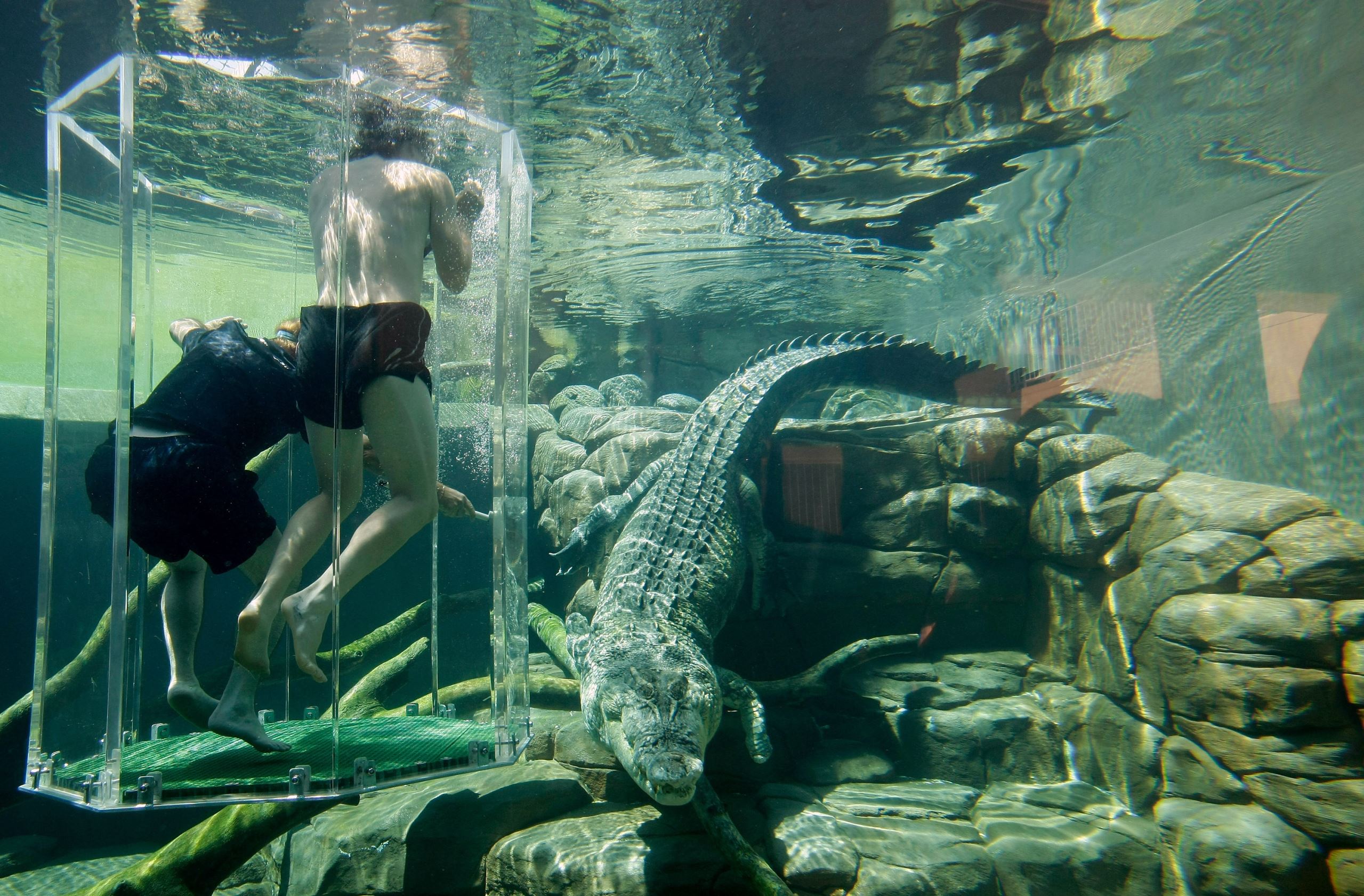 Travel adventures unbelievably brave