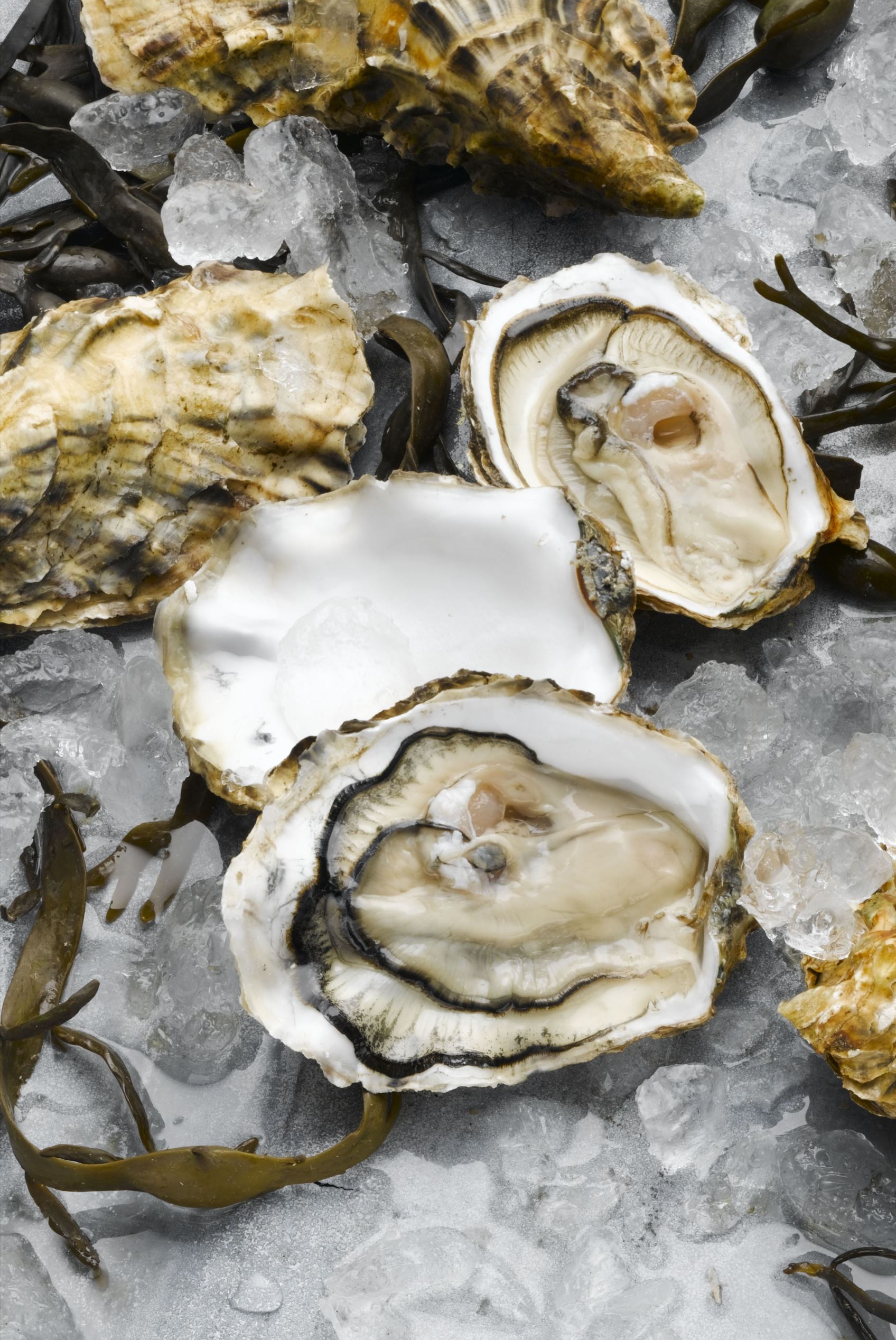 <p>Similar to chicken, shellfish such as clams, oysters, lobster, have <a href="http://www.redbookmag.com/beauty/makeup-skincare/advice/g1776/good-skin-foods/?slide=8">tons of zinc</a>, which helps keep your skin looking elastic and plump. Eating that extra lobster roll on your next vacation just got ten times better, no?</p>