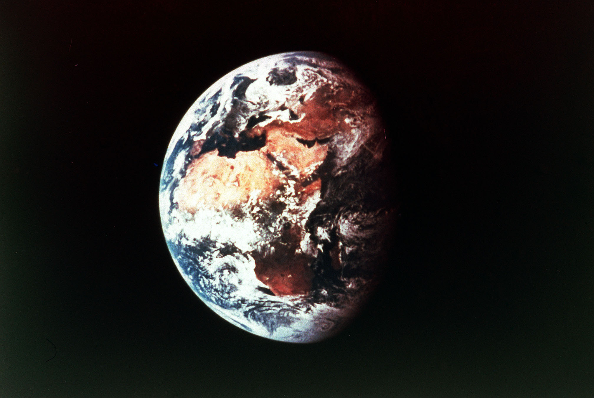 animals first appeared Earth
