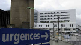 Experimento foi realizado em laboratório privado em Rennes, no noroeste da França