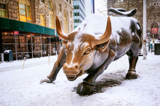 Raging Bull near Wall Street, Lower Manhattan, New York City, New York, America.