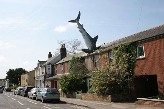 ENGLAND Oxford Bill Heines Shark in the roof of a terraced house in Headington. shark Oxford Bill Heine UK eccentric Headington Oxfordshire England Britain art odd unusual house home crash crashed roof British Isles European Great Britain Northern Europe United Kingdom
