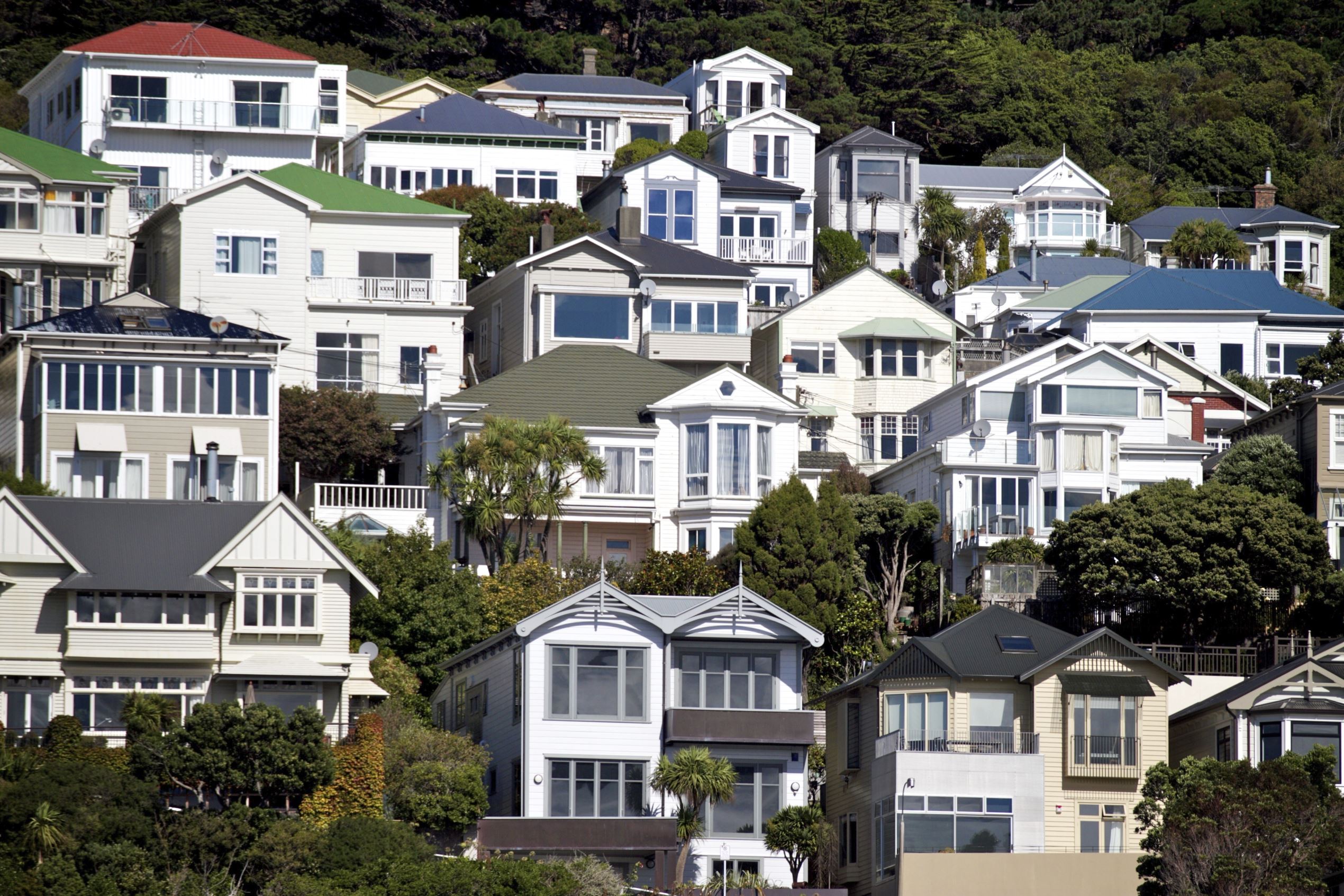 Marginal improvement renters Auckland