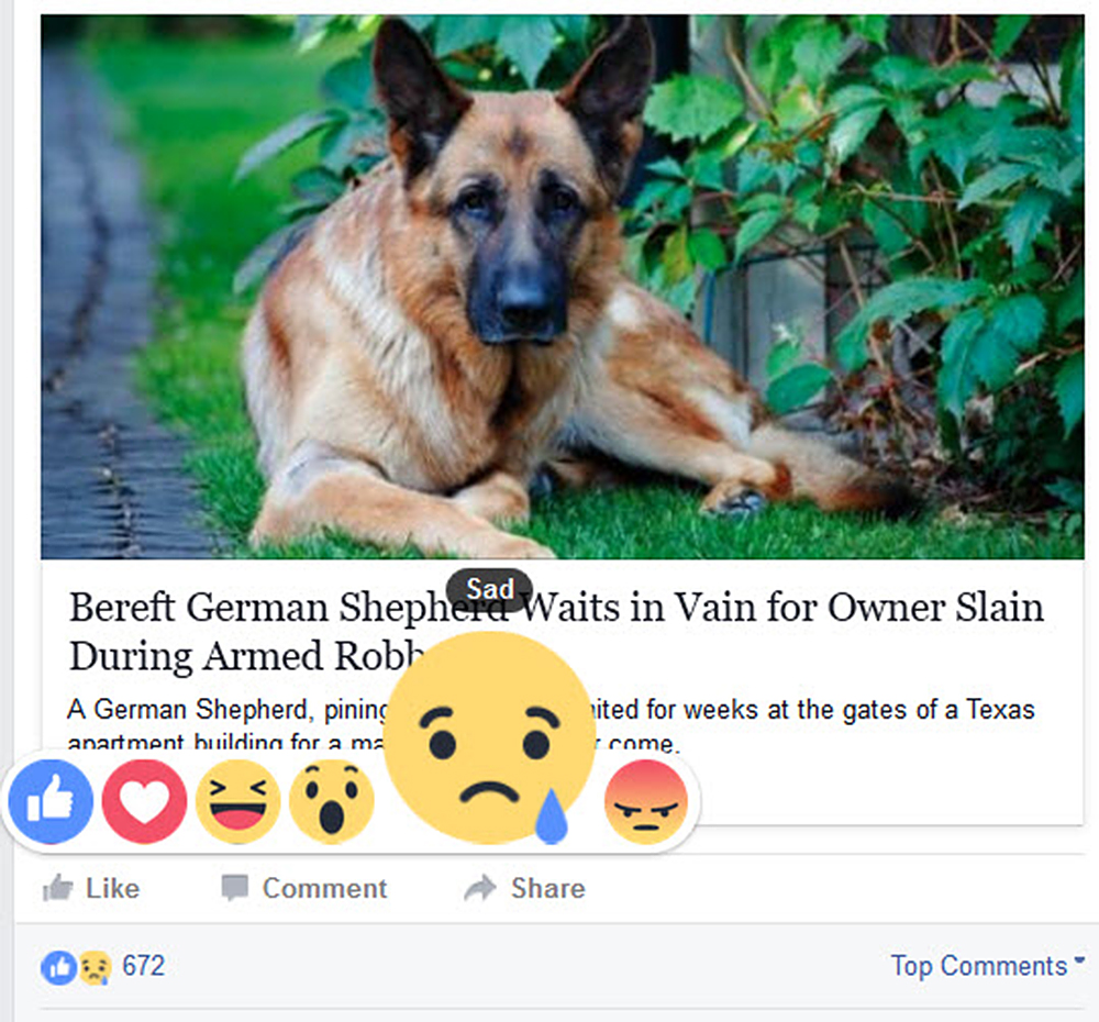 Facebook now has more options than just the â€˜Likeâ€™ button. Facebook